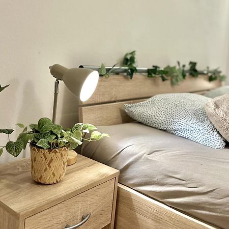 Apartment Simona - Old Town 布拉迪斯拉发 外观 照片