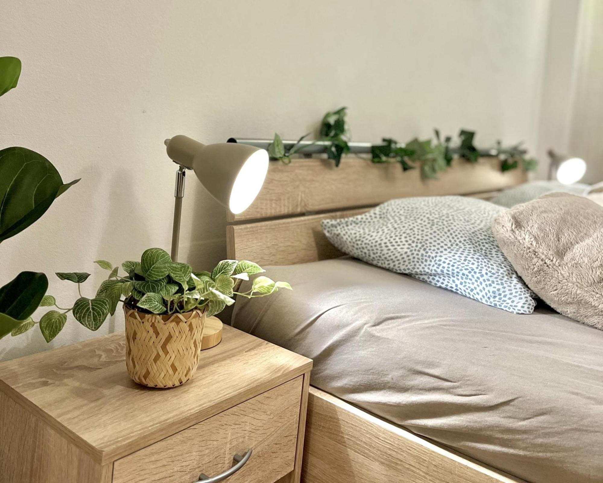 Apartment Simona - Old Town 布拉迪斯拉发 外观 照片