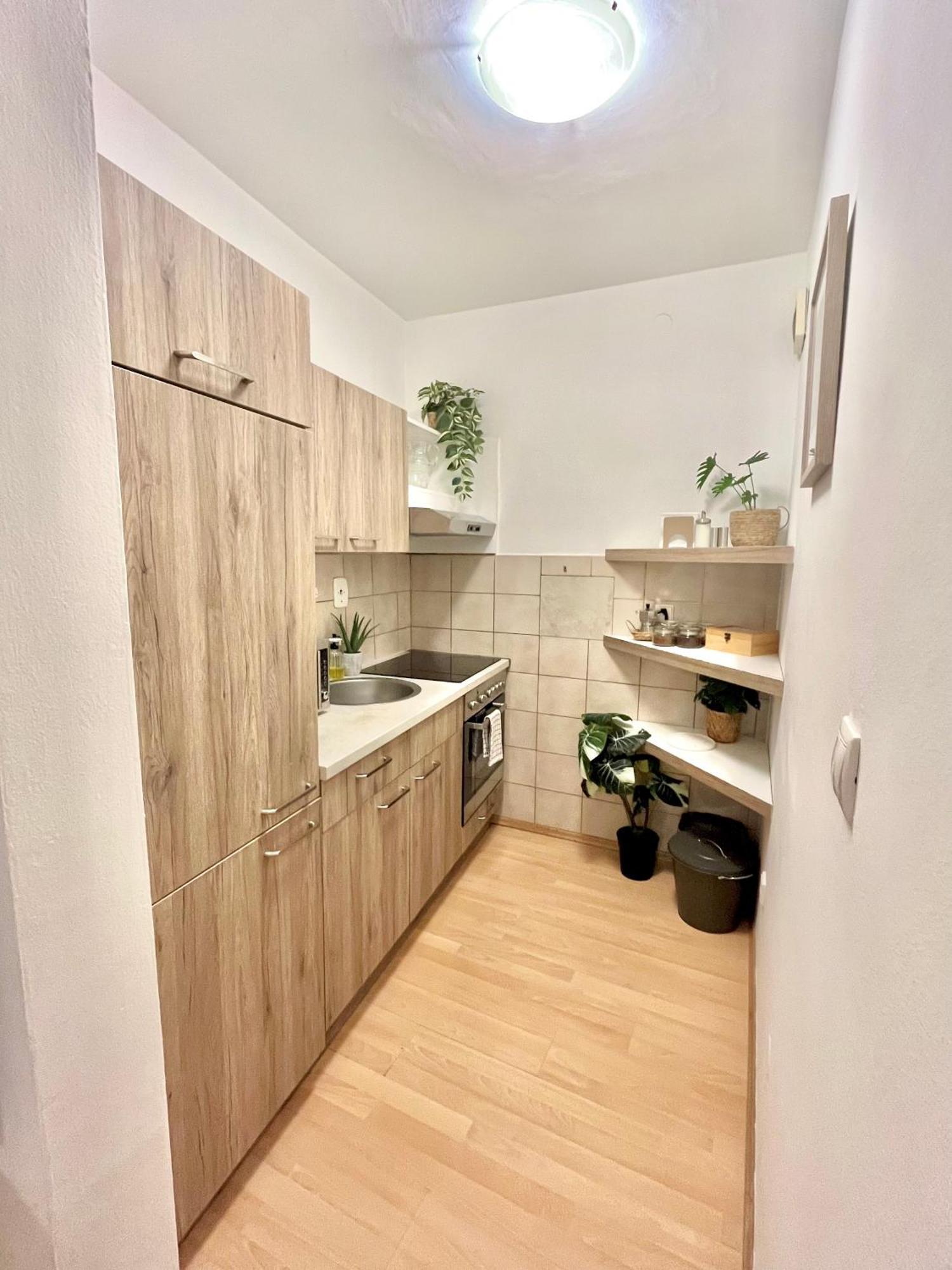 Apartment Simona - Old Town 布拉迪斯拉发 外观 照片